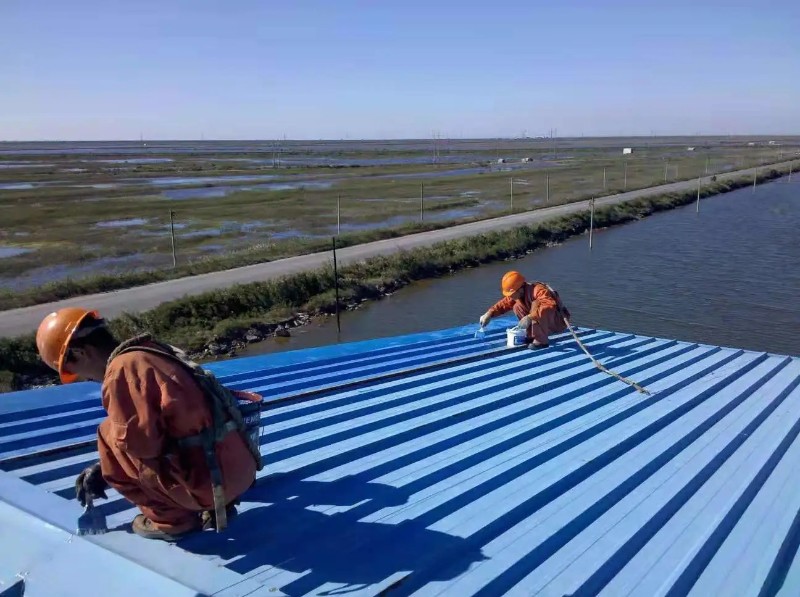 息县彩钢瓦屋面防腐翻新